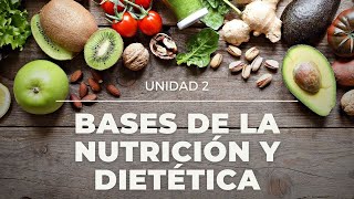 Bases de la nutrición y dietética [upl. by Leunamme]