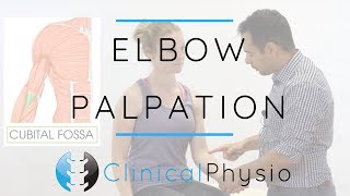 Elbow Palpation  Clinical Physio Premium [upl. by Nwahsak]