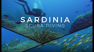 Sardinia  Scuba Diving Tavolara Marine Protected Area [upl. by Hospers]