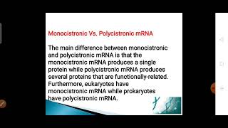 Monocistronic vs Polycistronic mRNA [upl. by Cutcheon]