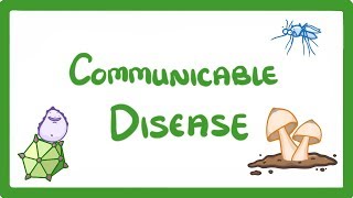 GCSE Biology  Communicable Disease 34 [upl. by Nekal]