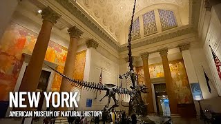 American Museum of Natural History Inside Walking Tour  New York USA [upl. by Auberon]