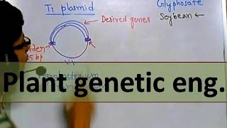 What is genetic testing [upl. by Inirt]