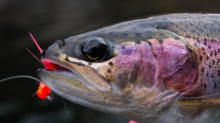 How To Fish For TROUT Using MICRO JIGS [upl. by Knorring]