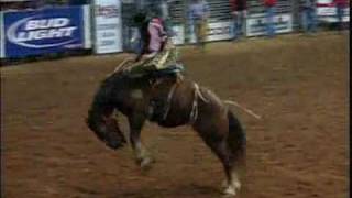 Saddle Bronc Riding  HRS Rodeo [upl. by Cecily]