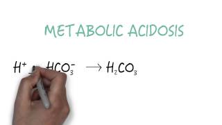 Bicarbonate  The Primary Buffer [upl. by Akimet]