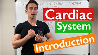 Introduction to the Cardiac System [upl. by Letnom]