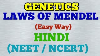 Genetics  Laws of Mendel Easy Way Hindi [upl. by Anelec991]