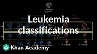 Leukemia classifications  Hematologic System Diseases  NCLEXRN  Khan Academy [upl. by Oluas]