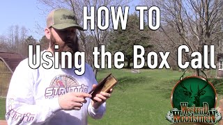 How to use the Box Call  Turkey Calling for Beginners [upl. by Devina893]