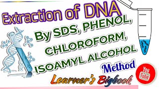 DNA extraction by SDS Method  Phenol Chloroform mixture [upl. by Salokkin]