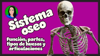 Sistema óseo  esquelético hueso [upl. by Chilson]