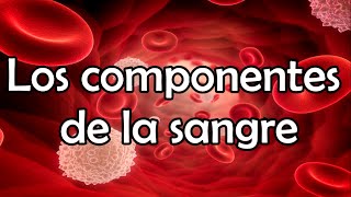 Los componentes de la sangre [upl. by Ballman]