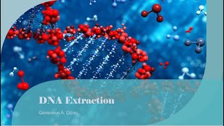 DNA Extraction [upl. by Amii]