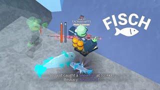 Roblox Fisch Gameplay 50 [upl. by Yllen]