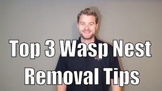 Top 3 Wasp Nest Removal Tips [upl. by Oidivo]