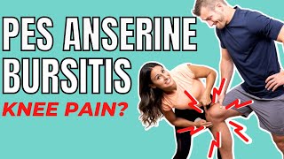 Pes Anserine Bursitis  Causes amp Treatments [upl. by Corso954]