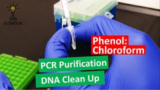 DNA Extraction  Improved PhenolChloroform Method [upl. by December]