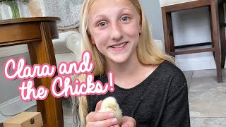 Hatching Chicks with Claras World [upl. by Orton]