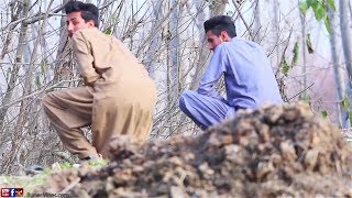 Buner Vines New Video 2019Govt Tex Of Pakistan [upl. by Idnym]