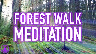 Guided Forest Walk Meditation  Calming and Relaxing Mindfulness Activity [upl. by Davenport792]