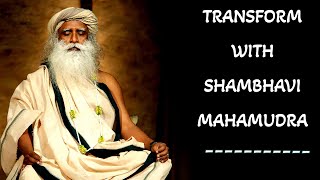 Sadhguru  After Shambhavi Mahamudra Everything around you will Respond Differently [upl. by Oilejor]