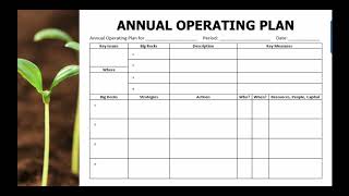 Developing an Annual Operating Plan for your business [upl. by Annayt227]