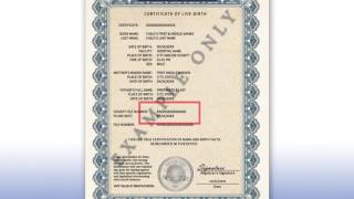 What Type Of Birth Certificate Is Needed For A Passport [upl. by Aloin]