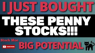 BEST PENNY STOCKS TO BUY NOW February Growth Stocks 2021 [upl. by Notsnorb420]