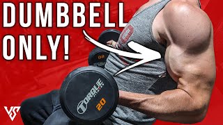 Full Arm Workout in 20 Minutes Using Dumbbells ONLY  V SHRED [upl. by Epillihp403]