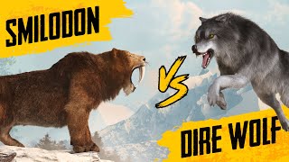 Sabertooth Tiger VS Dire Wolf  Size comparison [upl. by Ebner]