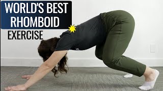 Worlds Best Rhomboid Spasm Exercise TRY IT [upl. by Nealah]