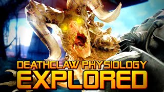 The Deathclaws of Fallout 4 Wasteland Explored  Genetics physiology lore and Origins Explained [upl. by Beard462]