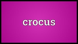 Crocus Meaning [upl. by Osher]