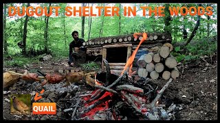 Building a Bushcraft Dugout Shelter in 24 hours dugout house [upl. by Esmerolda]