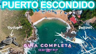 🌎🐬🐢 PUERTO ESCONDIDO  GUÍA COMPLETA  ¿QUÉ HACER COSTOS OAXACA sebitastrip [upl. by Gerson]