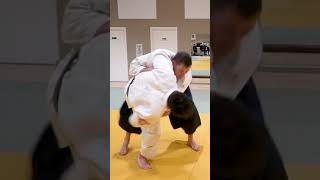 Aikido vs Judo [upl. by Dorkus549]