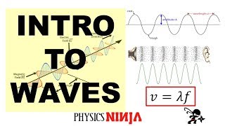 Introduction to Waves [upl. by Llednol]