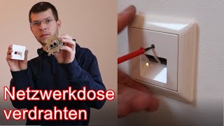 Netzwerkdose verdrahten ElektroM [upl. by Aamsa592]