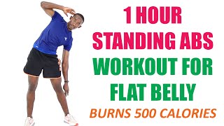 1 Hour Standing Abs Workout for Flat Belly 🔥 500 Calorie Workout 🔥 [upl. by Robbi]