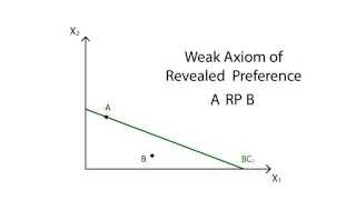 A14 Revealed preference  Consumption  Microeconomics [upl. by Anifesoj642]