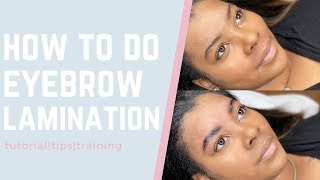 Eyebrow Lamination Tutorial Step By Step Brow Lamination [upl. by Kirven946]