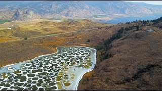 Spotted Lake Osoyoos Canada [upl. by Hentrich]