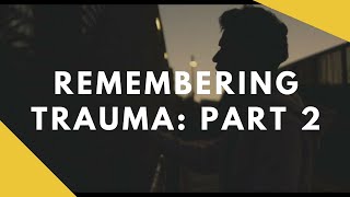 Remembering Trauma Part 2 Expert Commentary  Official Film 2017 [upl. by Rochester]