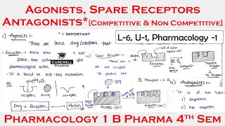 Agonists  Antagonist  Spare Receptors  L6 U1  pharmacology 4th semester [upl. by White]