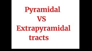 Pyramidal vs Extrapyramidal tracts [upl. by Eriam365]