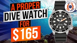 The Best PROPER Dive Watch For 165 [upl. by Ysirhc]