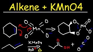 Alkene  KMnO4 Reaction [upl. by Nennerb478]