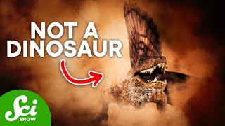 5 Famous Dinosaurs That Arent Actually Dinosaurs [upl. by Barbette]