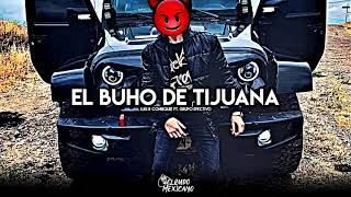 El Buho De Tijuana  Luis R Conriquez ft Grupo Efectivo 2019 [upl. by Ezar43]